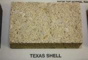 Split Face Texas Shell